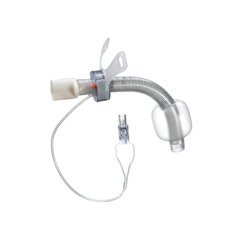 5ebbd8582462151b2328015c_450_1-p-500